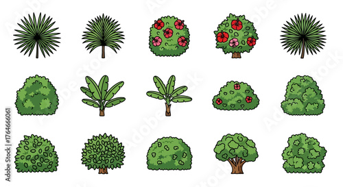 Cartoonstyle botanical icons palms banana trees bushes and flowering shrubs on a white background