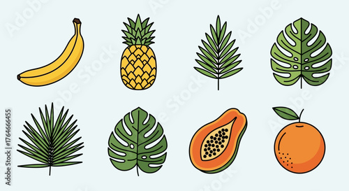 Eight colorful tropical fruit  plant cliparts on a pale backdrop