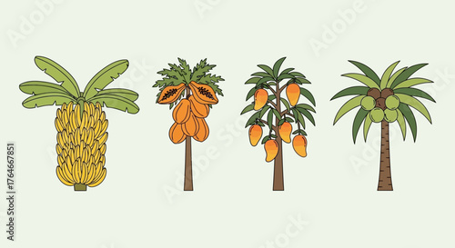 Four tropical fruit trees  banana papaya mango  coconut  are depicted against a plain background