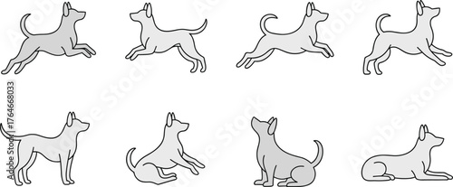 Dog poses illustration set, running jumping sitting lying actions, cartoon style pet drawing, canine movement reference, animal clipart design collection
