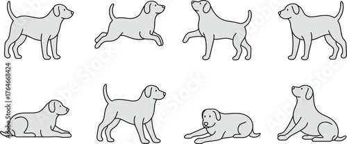 Dog poses illustration collection, standing walking sitting lying actions, cartoon style pet drawing, canine behavior reference, animal clipart design set