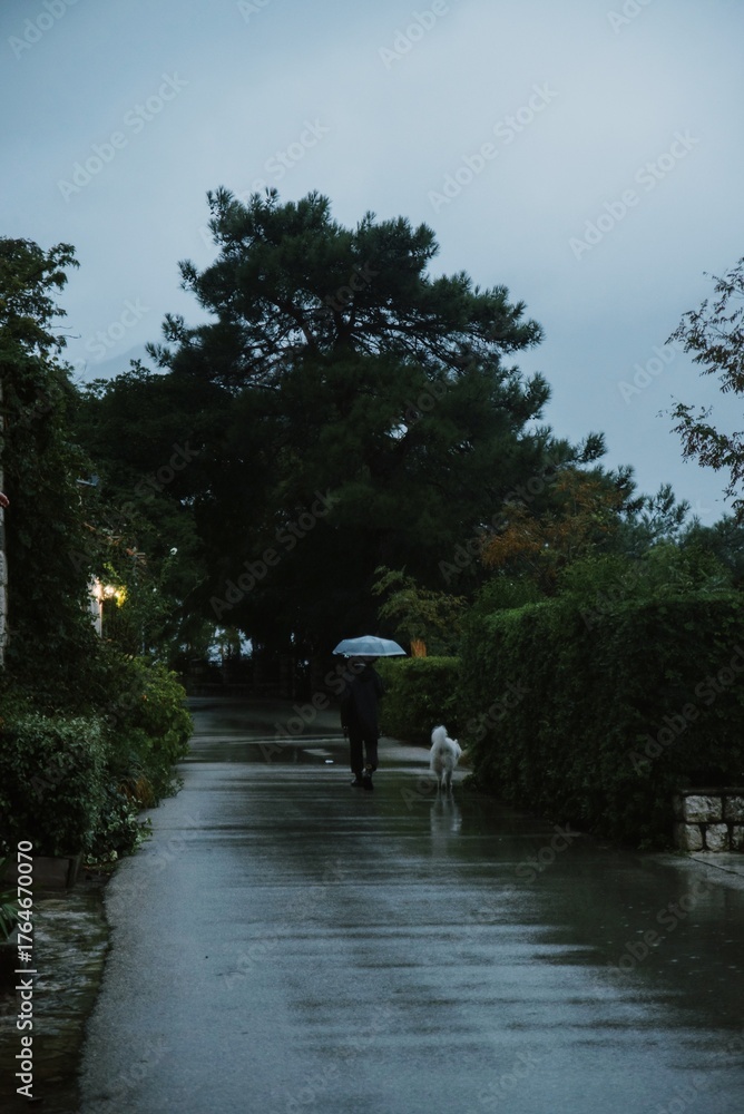 Fototapeta premium Man walking dog in rain