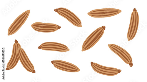 A scatter of brown caraway seeds on a white background