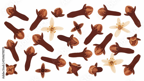 A scattered arrangement of whole cloves and clove flowers on a white background