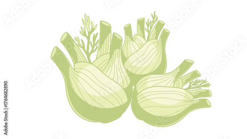 Fennel bulbs with feathery green tops