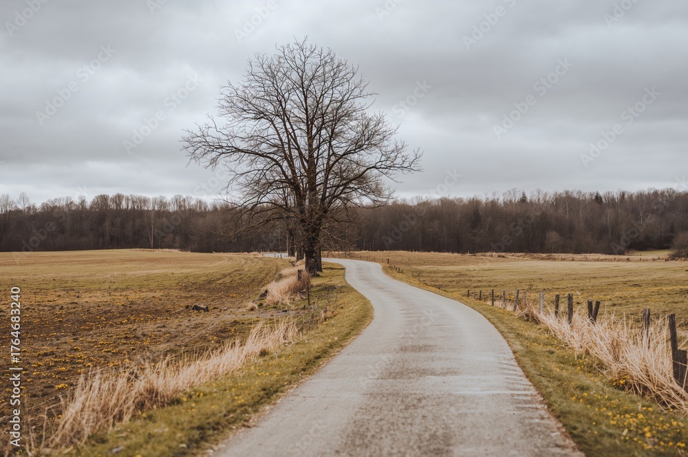 Naklejka premium A meandering trail cuts across a wide, empty meadow bordered by leafless trees beneath a cloudy sky.