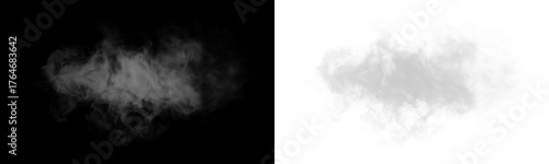 Tableau sur toile Gray smoke, expanding outward, swirling, and twisting, dissolving into a transparent background