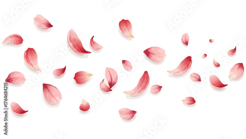 Pink and red flower petals scattered on a white background