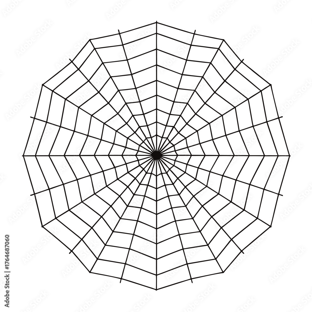 Obraz premium Intricate Black Spiderweb Pattern with Radial and Spiral Threads.