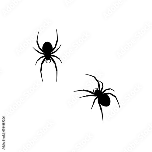 Two Black Silhouette Spiders with Eight Legs on a White Background.