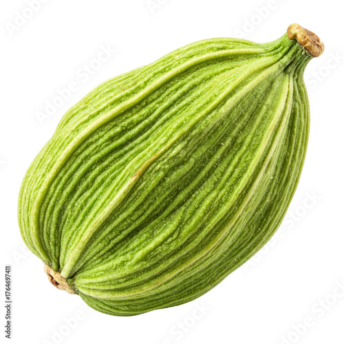 Wallpaper Mural Single, vibrant green pod with ridged texture and small stem, isolated Torontodigital.ca