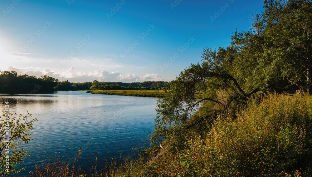 Obraz premium Water in an Open Natural Setting