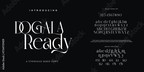Elegant font set. Modern alphabet letters serif Lettering Typography Fonts uppercase and number. vector illustration