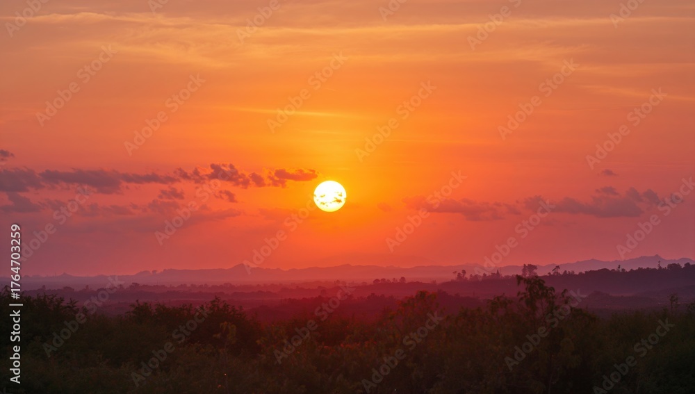 Fototapeta premium Serene Evening Landscape