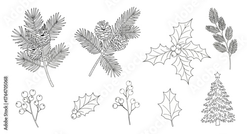 Detailed line art illustration of various winter foliage, including pine branches, holly, berries, and a Christmas tree.