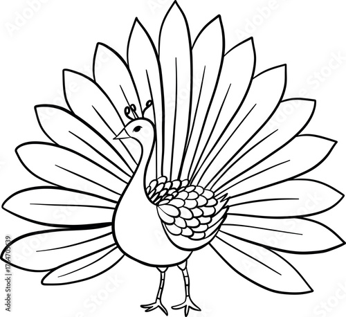 Coloring page peacock vector illustration for children. Easy to use and customize. Perfect for preschool and kindergarten worksheets, homeschooling materials, or fun activity books. Vector illustratio