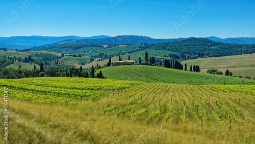 Scenic countryside with rolling hills, lush meadows, and vineyards in a European rural area - springtime nature and agriculture