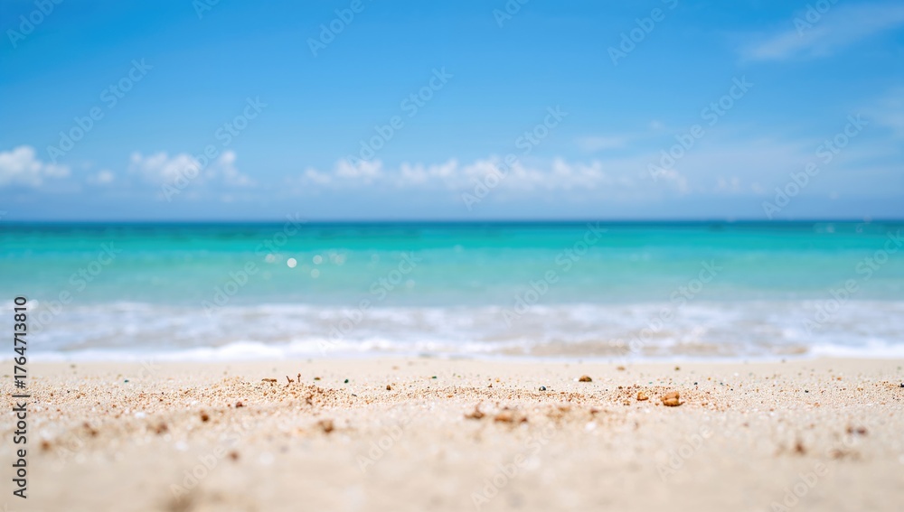 Fototapeta premium Seaside scene with empty area and coastal items