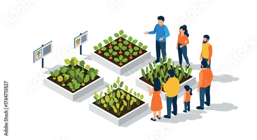 Isometric community gardening with families learning sustainable practices