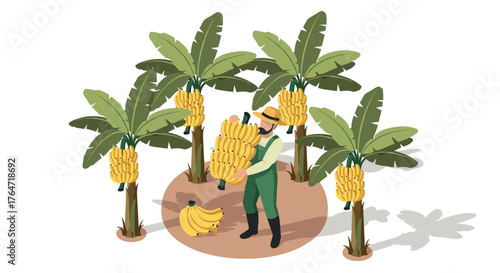 Isometric farmer harvesting bananas among tropical trees