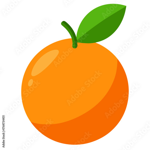 orange fruit vector illustration