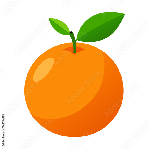 orange fruit vector illustration