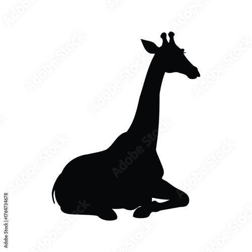 Silhouette of a giraffe sitting down in a calm and relaxed posture, giraffe sitting silhouette vector illustration