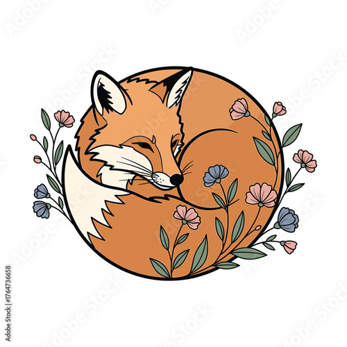 Sleeping fox curled up with flowers on white background Keywords: fox, sleeping, curled, foxy