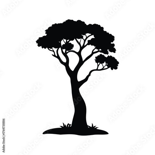 Silhouette of a solitary tree with a broad canopy against a white background, tree silhouette vector illustration
