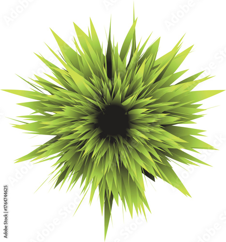 lemon color plum leaf grass design