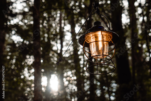 A glowing vintage lantern hanging by a rope in the quiet forest twilight. Captured with a shallow depth of field, the warm light contrasts beautifully against the dark, moody background of trees