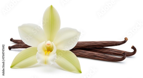 A vanilla orchid flower with pale petals and vanilla beans arranged on a white background surface