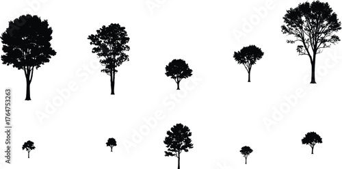 Tree silhouettes collection, black vector trees, deciduous and coniferous icons, oak, pine, willow, foliage design, natural shapes, landscape elements, cad drawing flat vector illustration