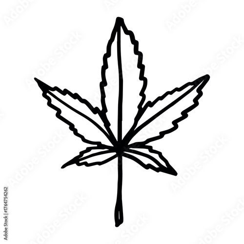 Hand drawn cannabis leaf Medicine marijuana Hemp leaves clipart in doodle style Single element for print, web, design, decor