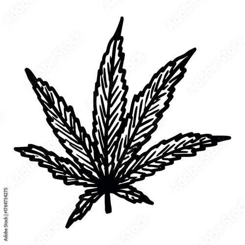 Hand drawn cannabis leaf Medicine marijuana Hemp leaves clipart in doodle style Single element for print, web, design, decor