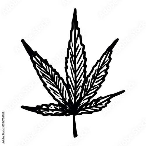 Hand drawn cannabis leaf Medicine marijuana Hemp leaves clipart in doodle style Single element for print, web, design, decor