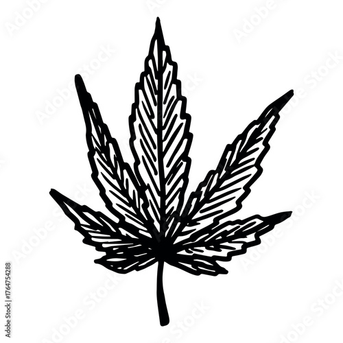 Hand drawn cannabis leaf Medicine marijuana Hemp leaves clipart in doodle style Single element for print, web, design, decor