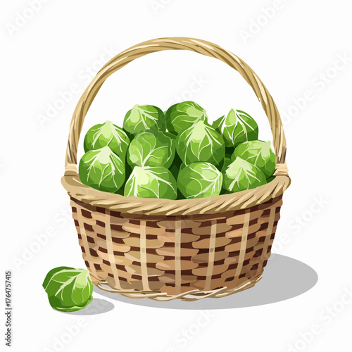 Wallpaper Mural Rosenkohl Torontodigital.ca