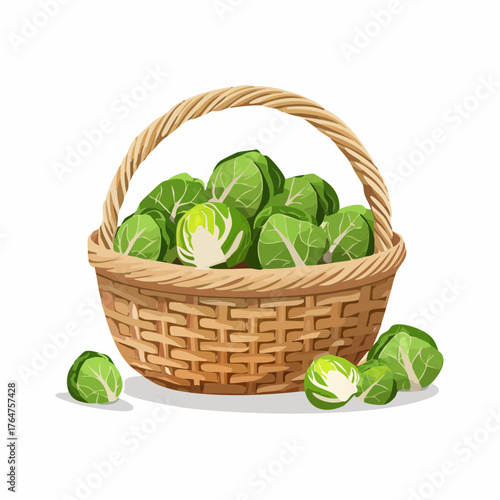 Wallpaper Mural Rosenkohl Torontodigital.ca