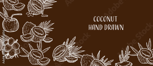 Hand drawn coconut background on brown color. Line art vector illustration of coco palm leaves, fruits and branches. Crayon coconut sketch backdrop for cosmetic and food design, fabric, textile label