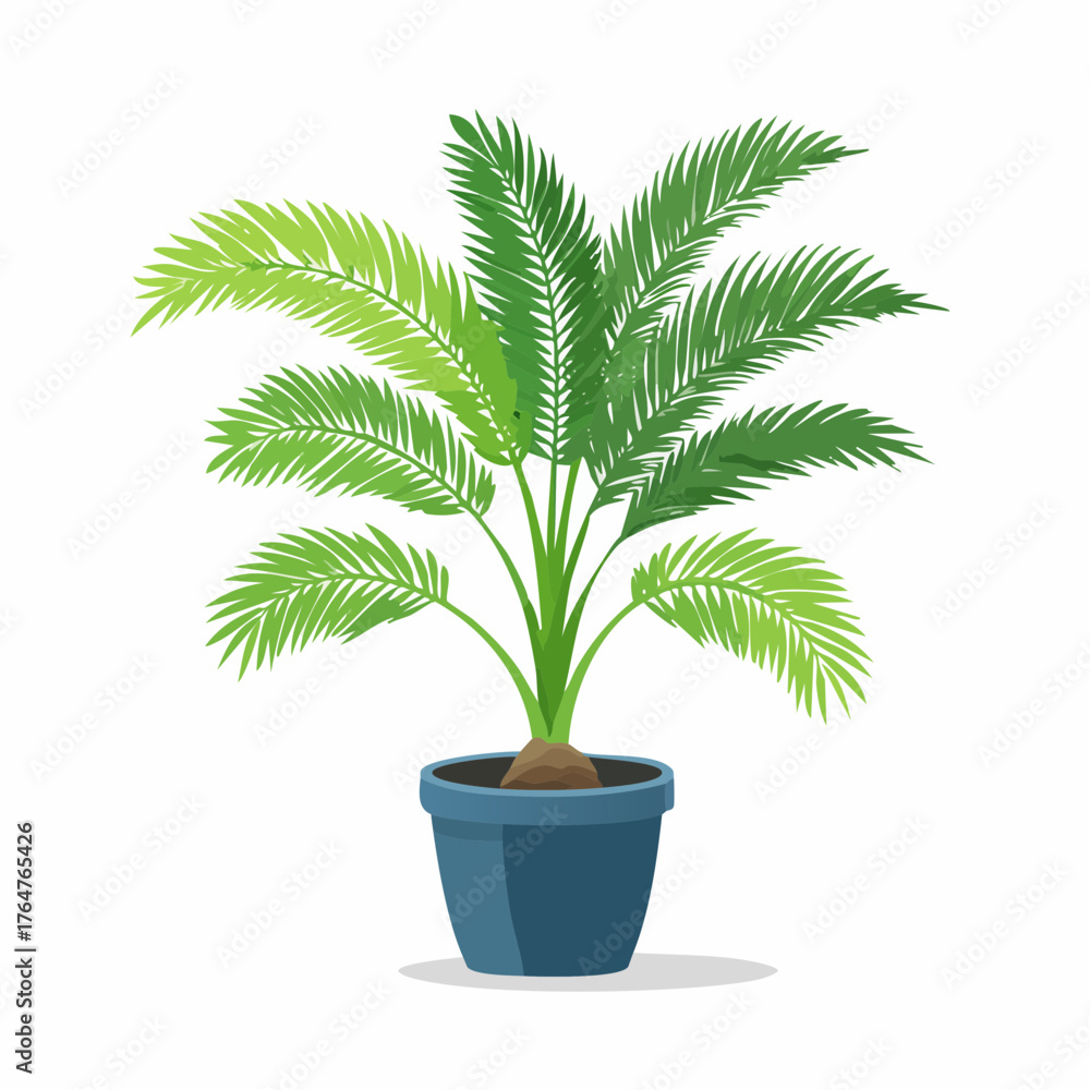 Obraz premium Palme in einem Topf