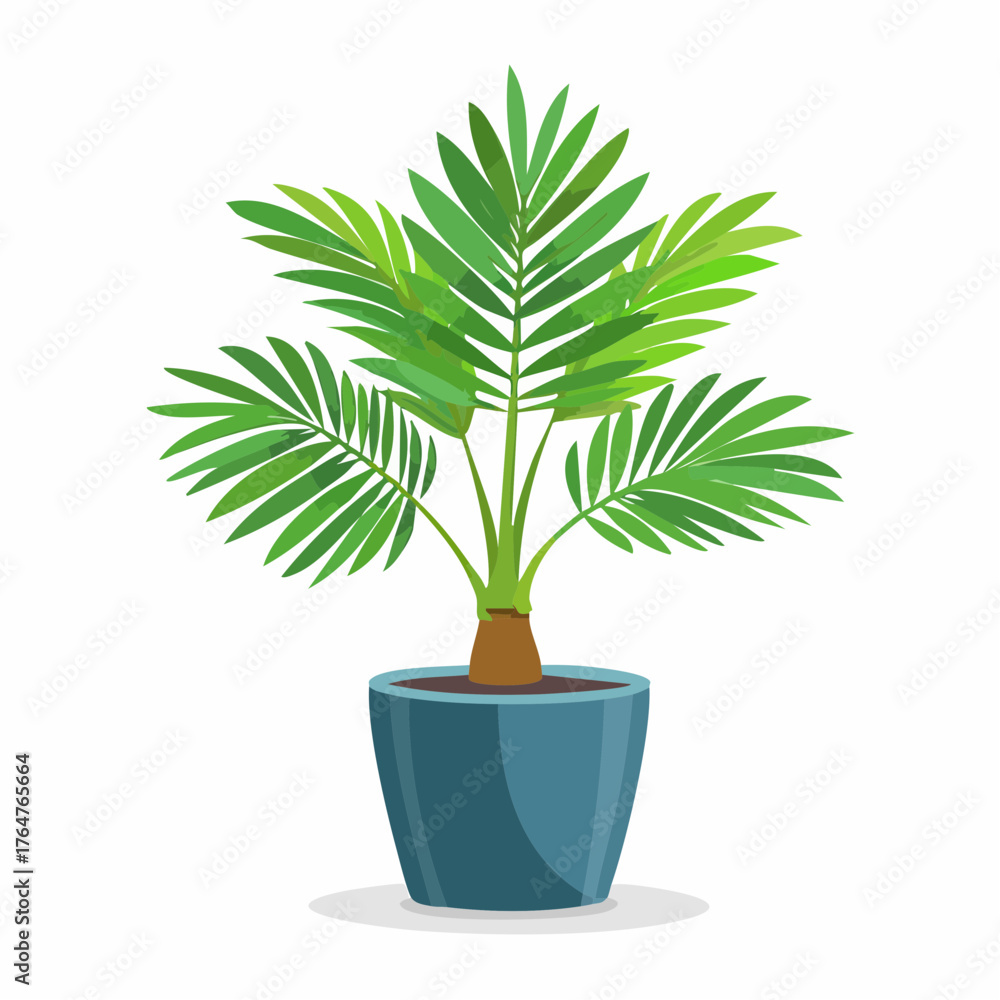 Obraz premium Palme in einem Topf