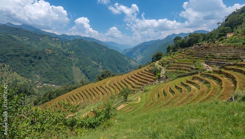 Scenic mountain view with f...