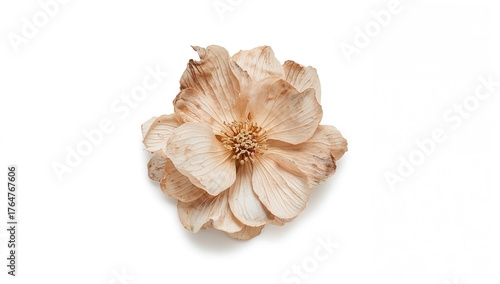 Isolated pressed and dried ...