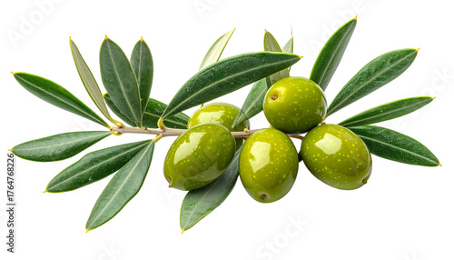 Wallpaper Mural Fresh green olives hang on a twig amidst elongated leaves against a black background, creating a natural composition Torontodigital.ca