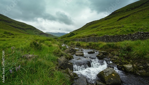 Green hillside featuring a ...
