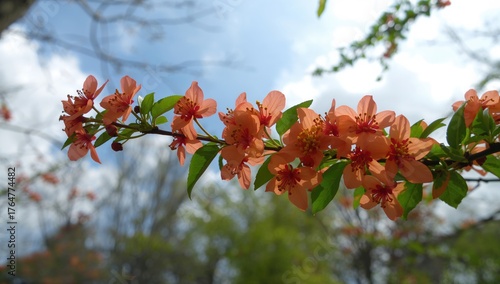 Branch adorned with vibrant...