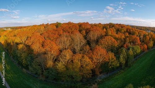 Vibrant autumn trees in a s...