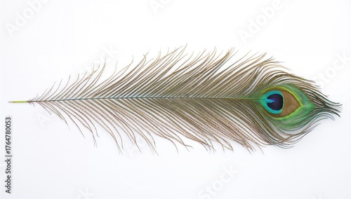 Vivid design displayed on a...