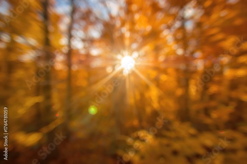 Golden fall bokeh backdrop ...